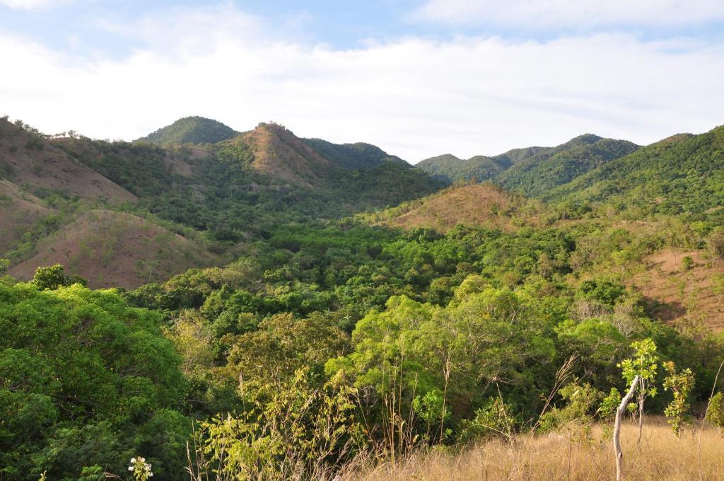 Busuanga Island Paradise Εξωτερικό φωτογραφία